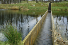 1_image00006